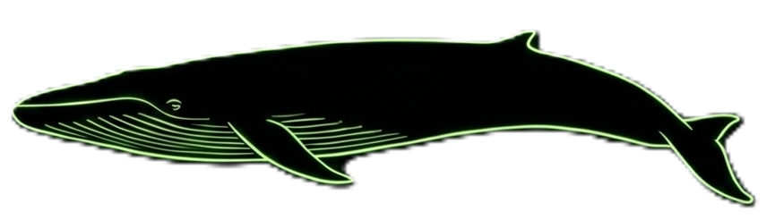 Ballenas (Acuáticos)